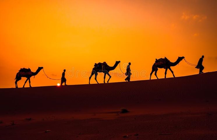 Rajasthan Royals
